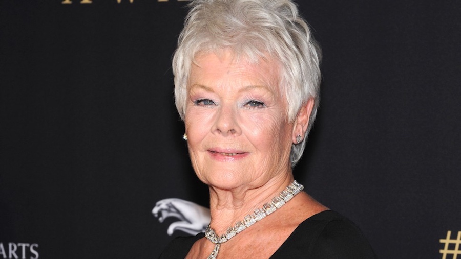 La peli de Cats está cambiando el juego con Judi Dench