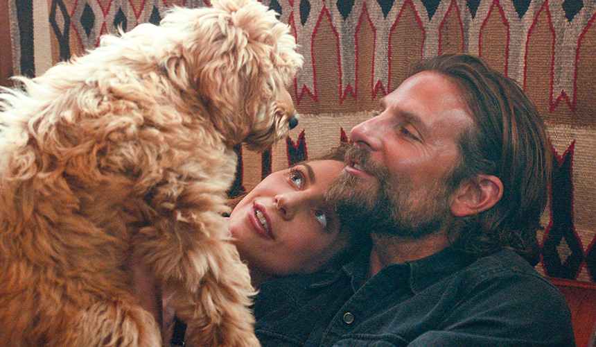 El perro de Bradley Cooper lo hizo ganarse un «Oscat»