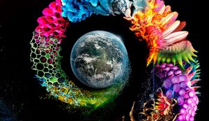 Razones para ver One Strange Rock, la serie documental