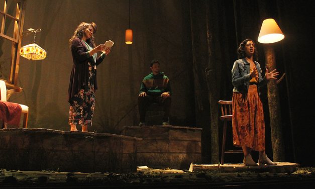 Pequeñas Grandes Cosas – Review