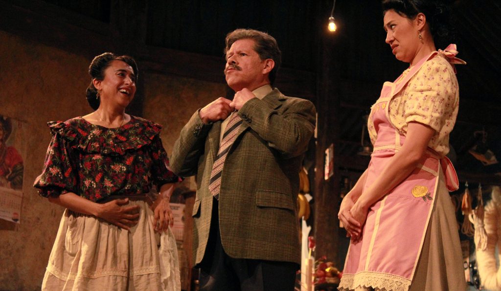 la Danza Que Sueña La Tortuga