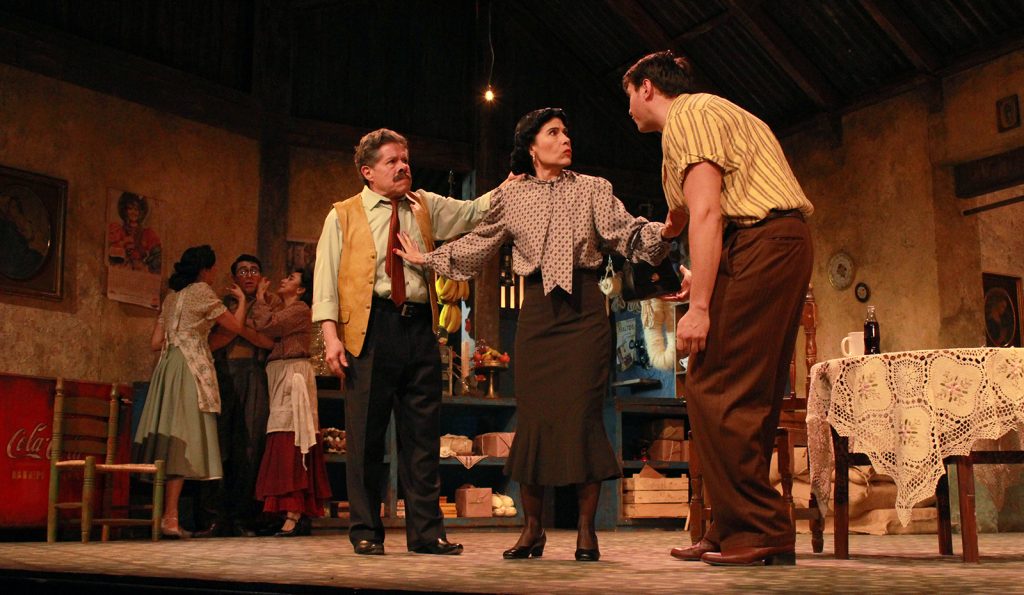 la Danza Que Sueña La Tortuga