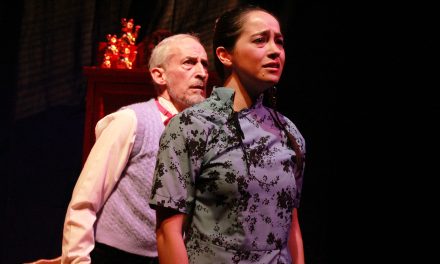 Vine A Decir Adiós – Review