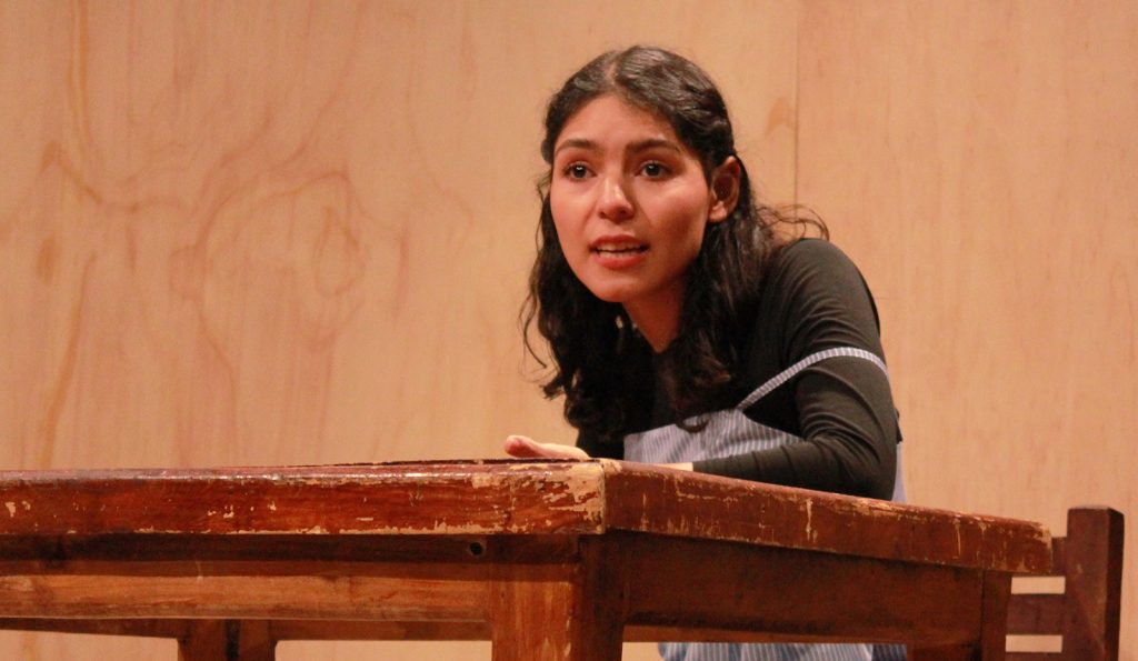 Mujeres Soñaron Caballos