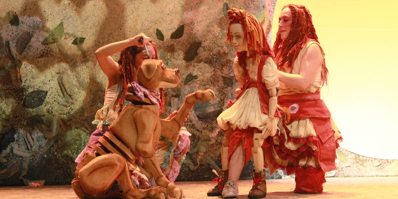 Salvaje o La Valentía De Encontrarse – Review